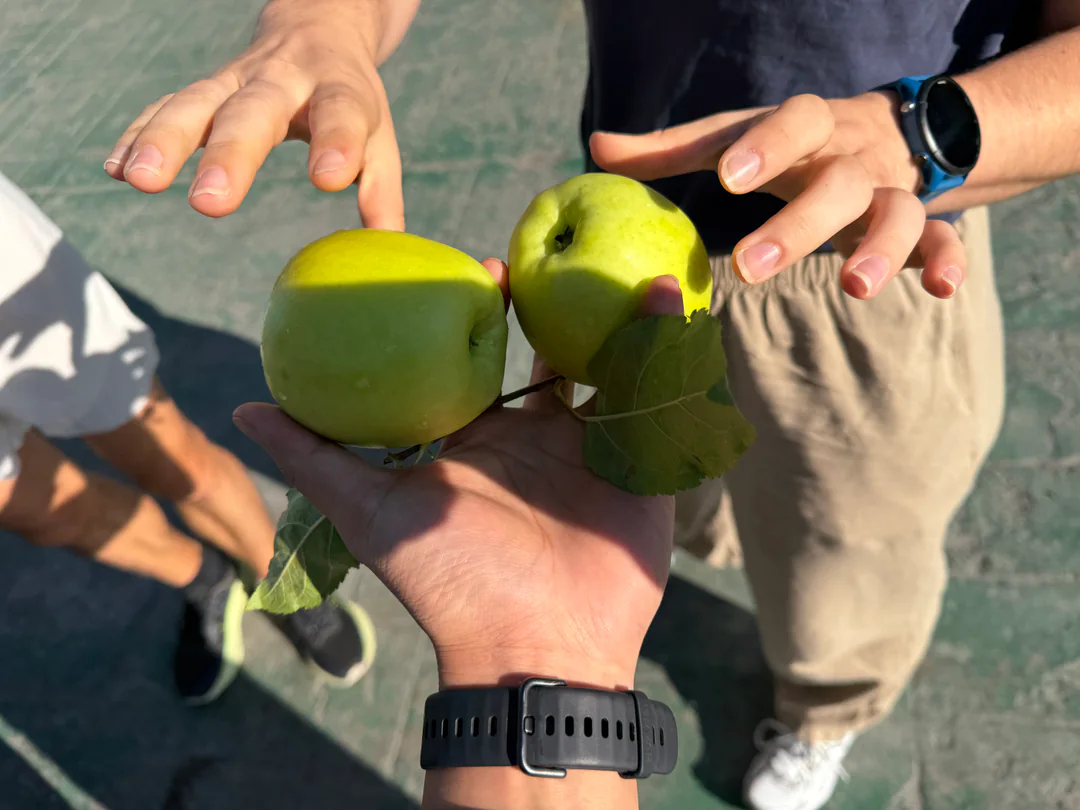 旅途中接过的青苹果细节